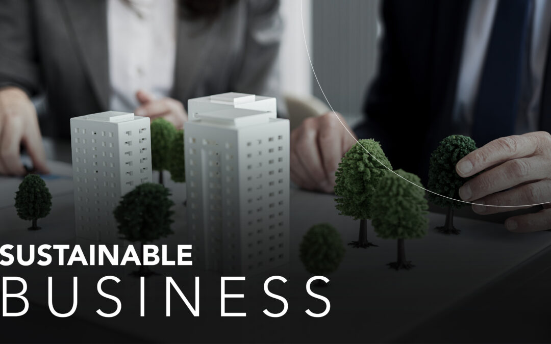 How To Become A Successful Sustainable Business In 2022?