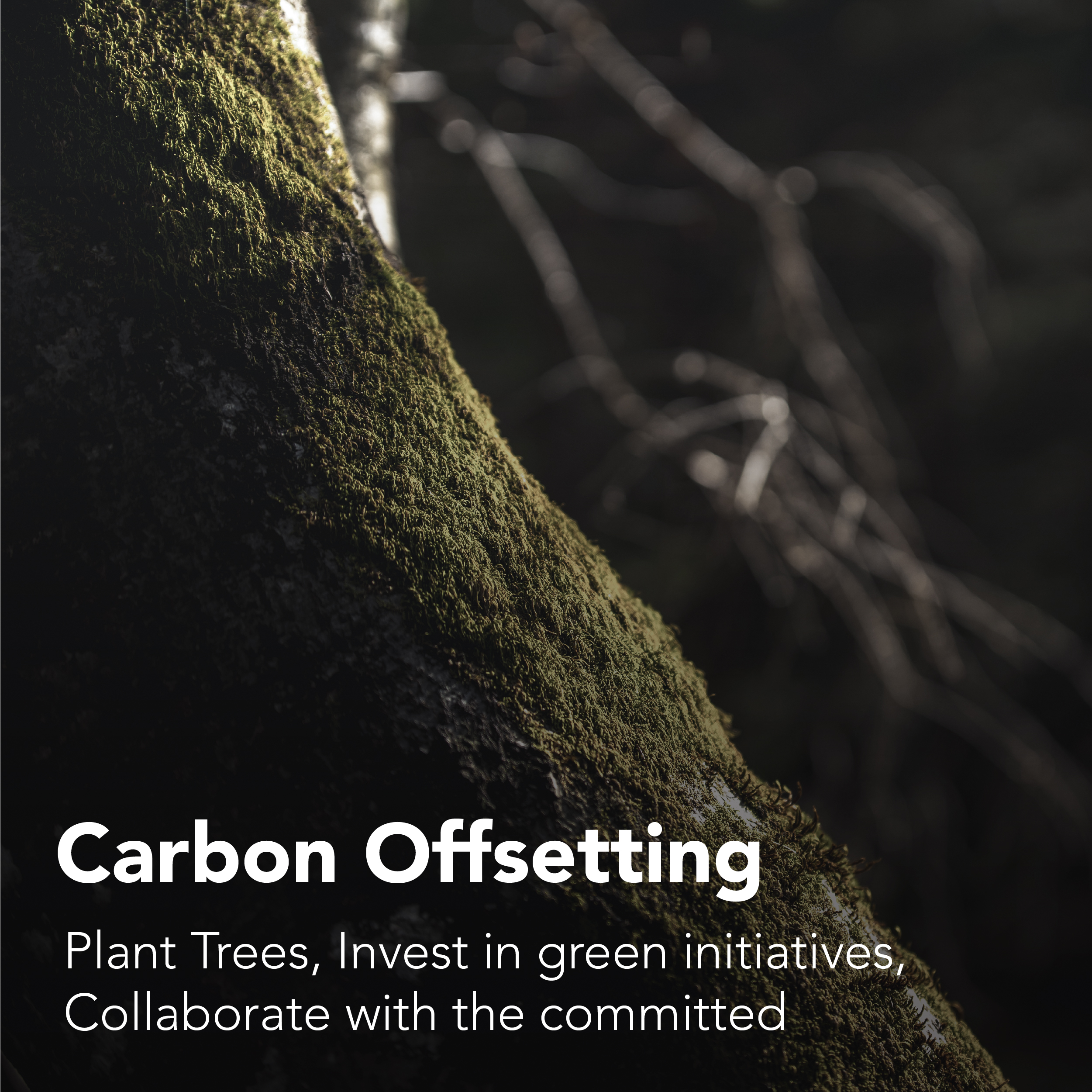 Carbon Offsetting Plant Trees, Invest in green initiatives, Collaborate with the committed