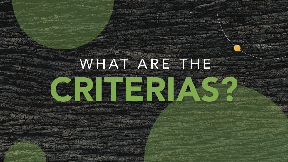ESG 101: What are the Criterias?