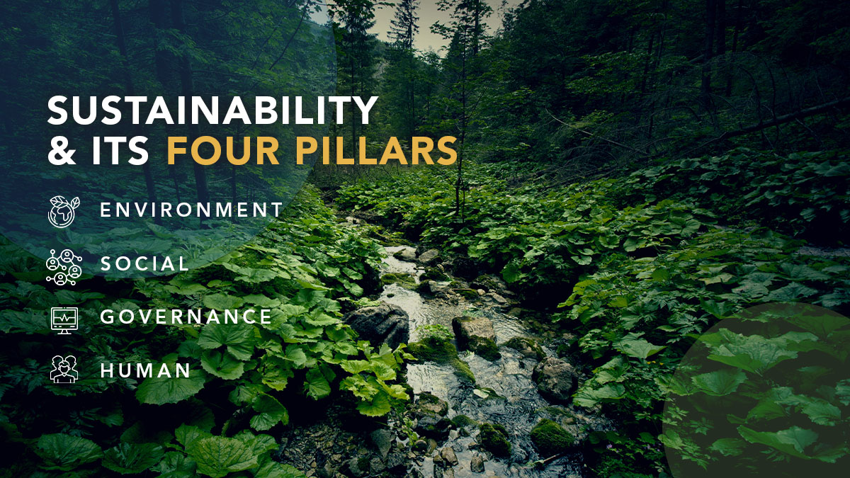 Sustainability & its four pillars Environment, Social, Governance & Human