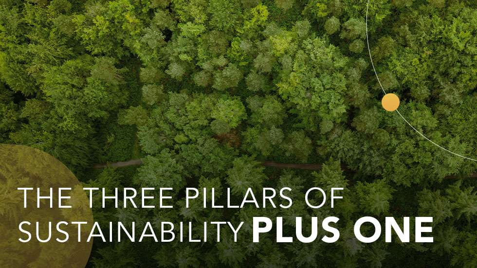 The Three Pillars of Sustainability Plus One