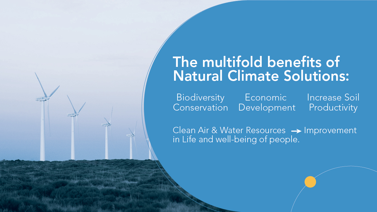 The Multifold Benefits of Natural Climate Solutions