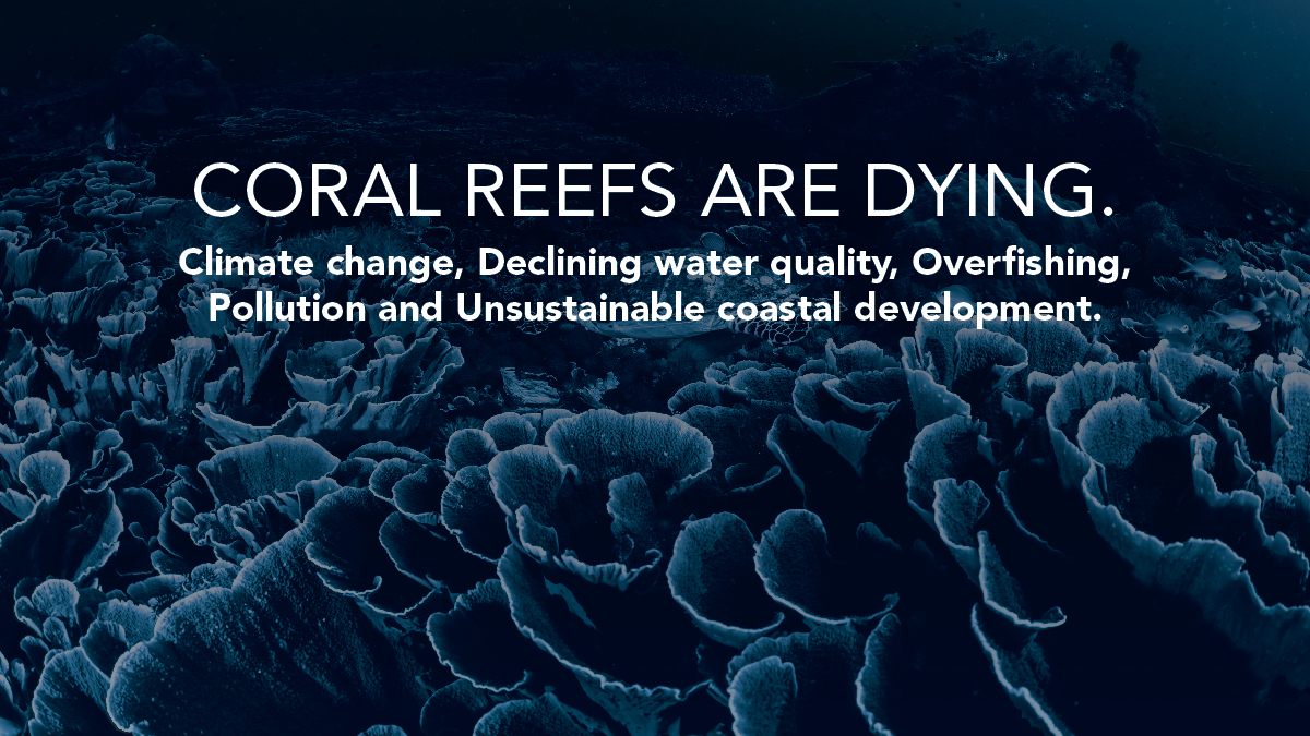 Coral Reefs are Dying.

Climate change, Declining water quality, Overfishing, Pollution, and Unsustainable coastal development.