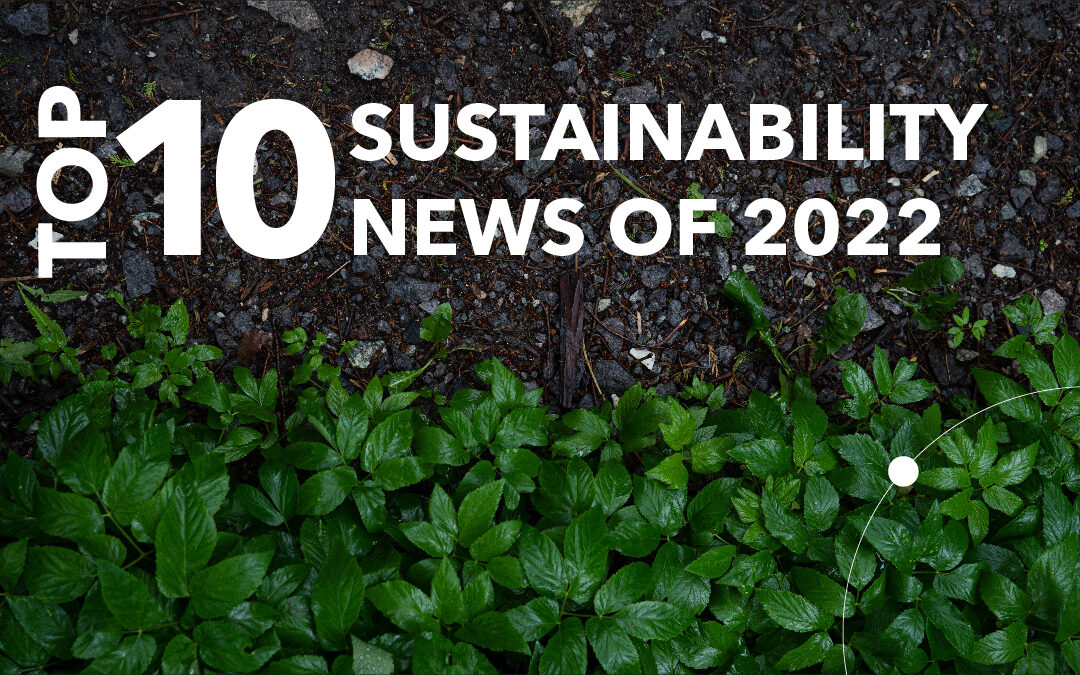 Top 10 Sustainability News 2022