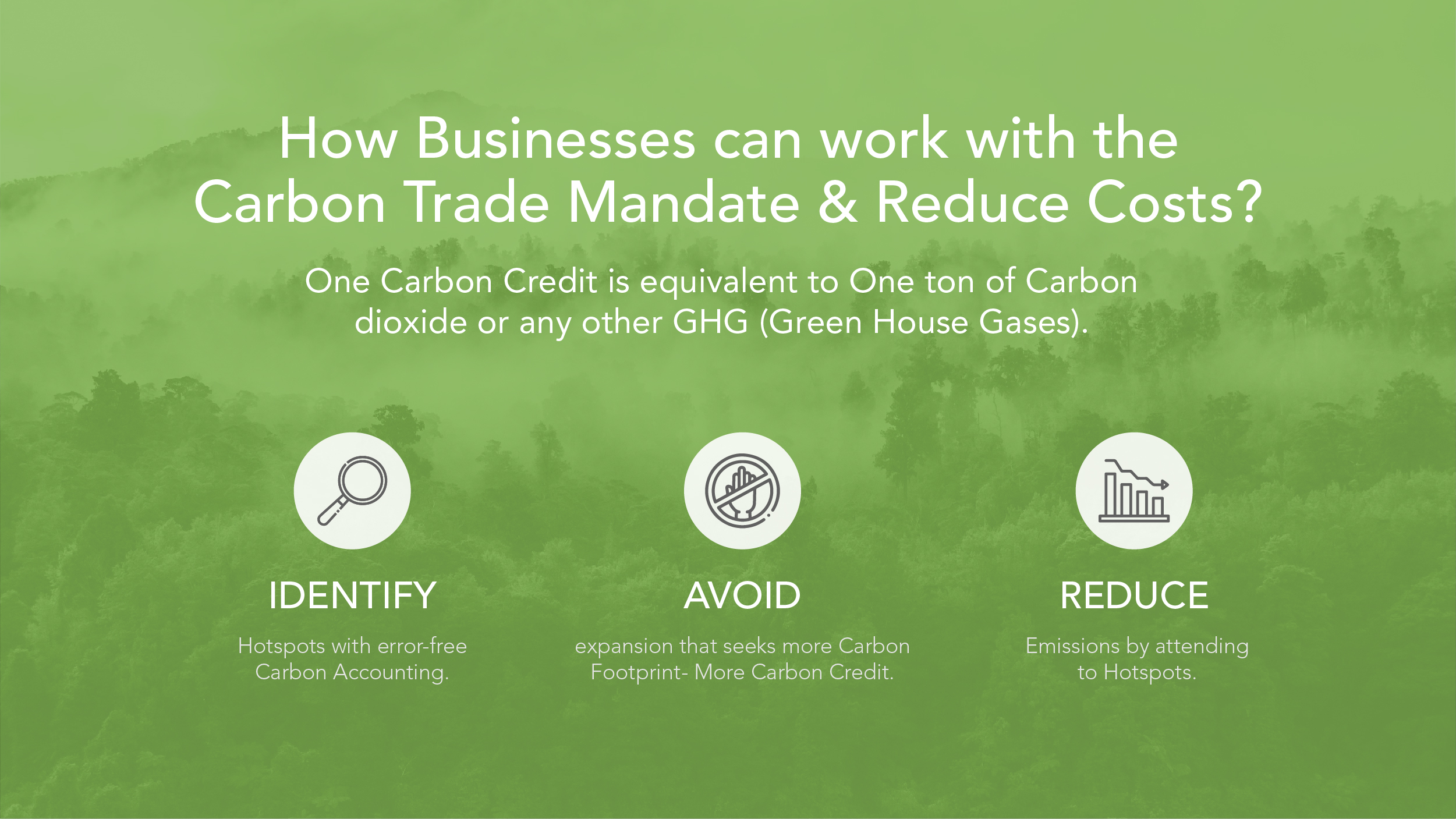 How Businesses Can Work with the Carbon Trade Mandate Reduce Costs