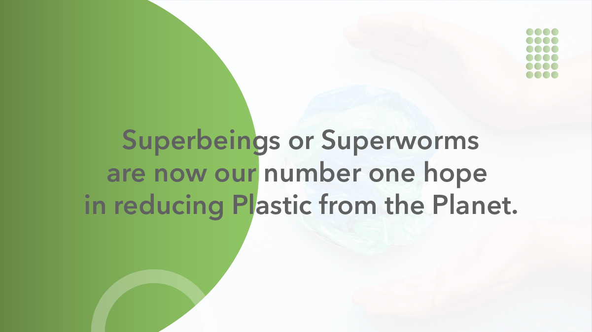 Superbeings or Superworm
