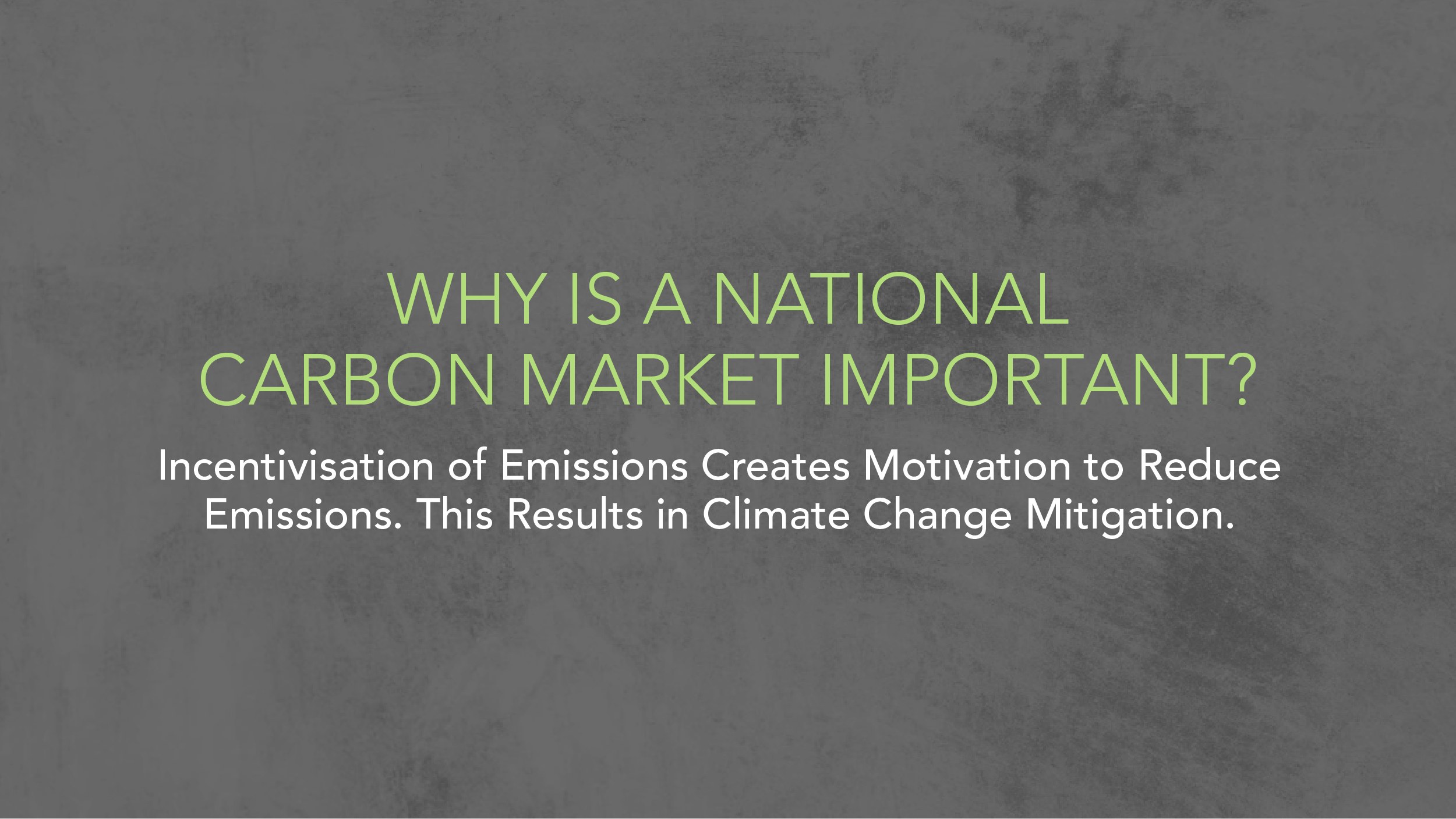 Why is a National Carbon Market Important