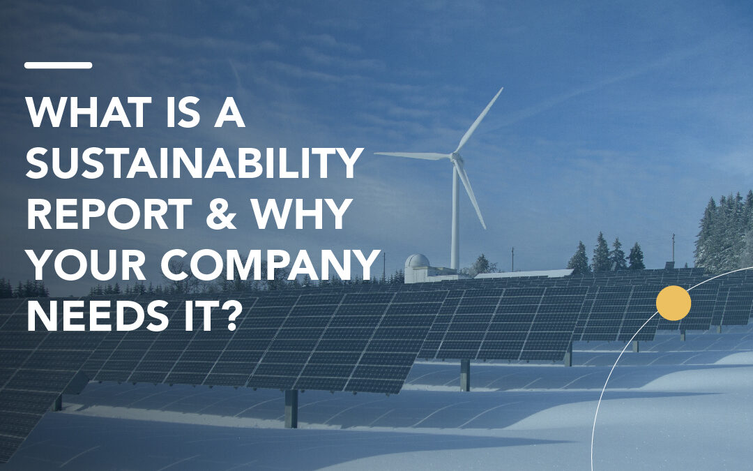 What is a sustainability report and why your company needs it